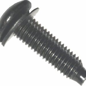 Black screw with a Phillips head.